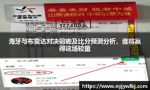 海牙与布雷达对决前瞻及比分预测分析，谁将赢得这场较量